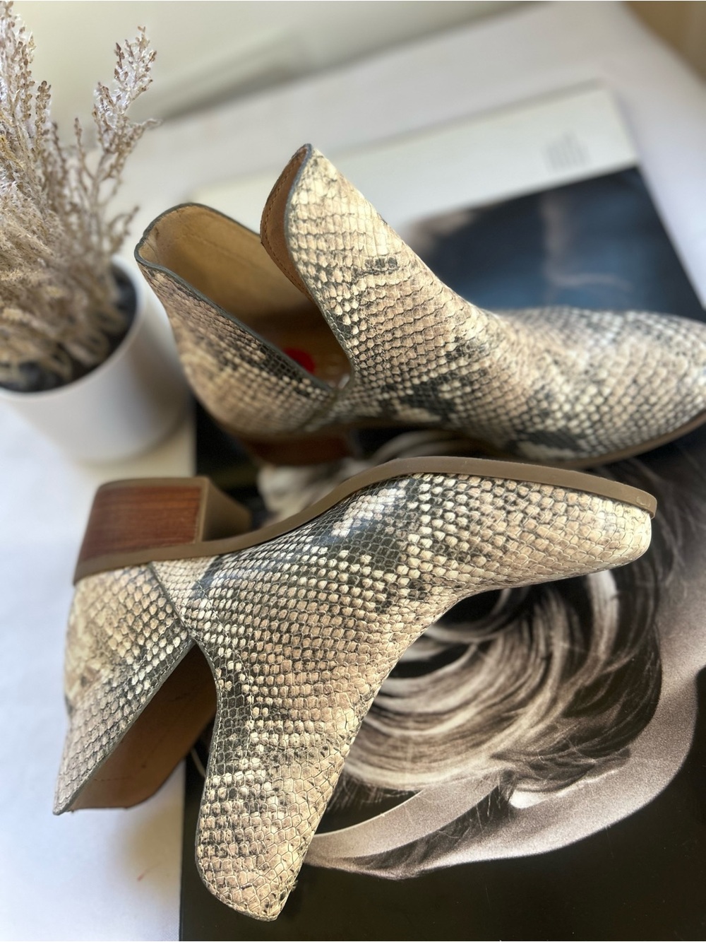 george 6 Women's Snake-Print Ankle Boots in Neutral Gray